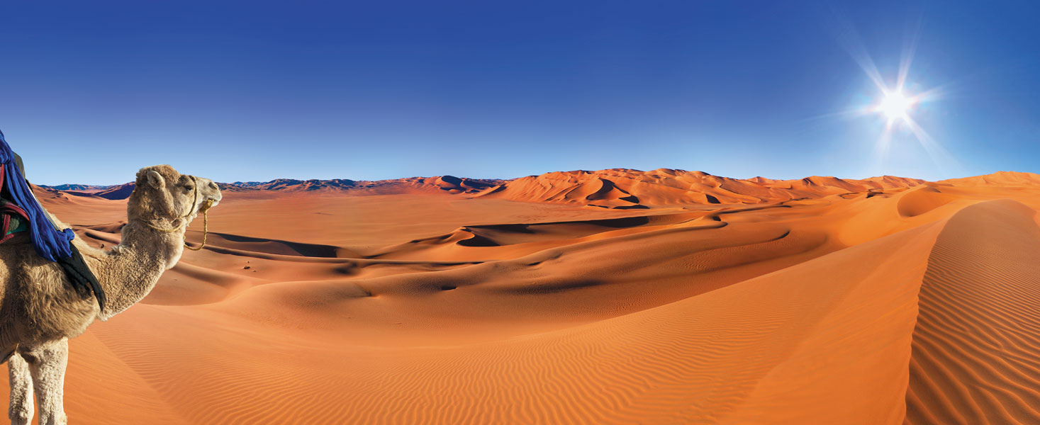 Monarch Travel :  travel agency DMC in Morocco specialized in MICE, Luxury Travel and Tour-operating with regular coach tours from Marrakech, Casablanca, Fez, Tangier and Spain, and hotels & riads available in online B2B system